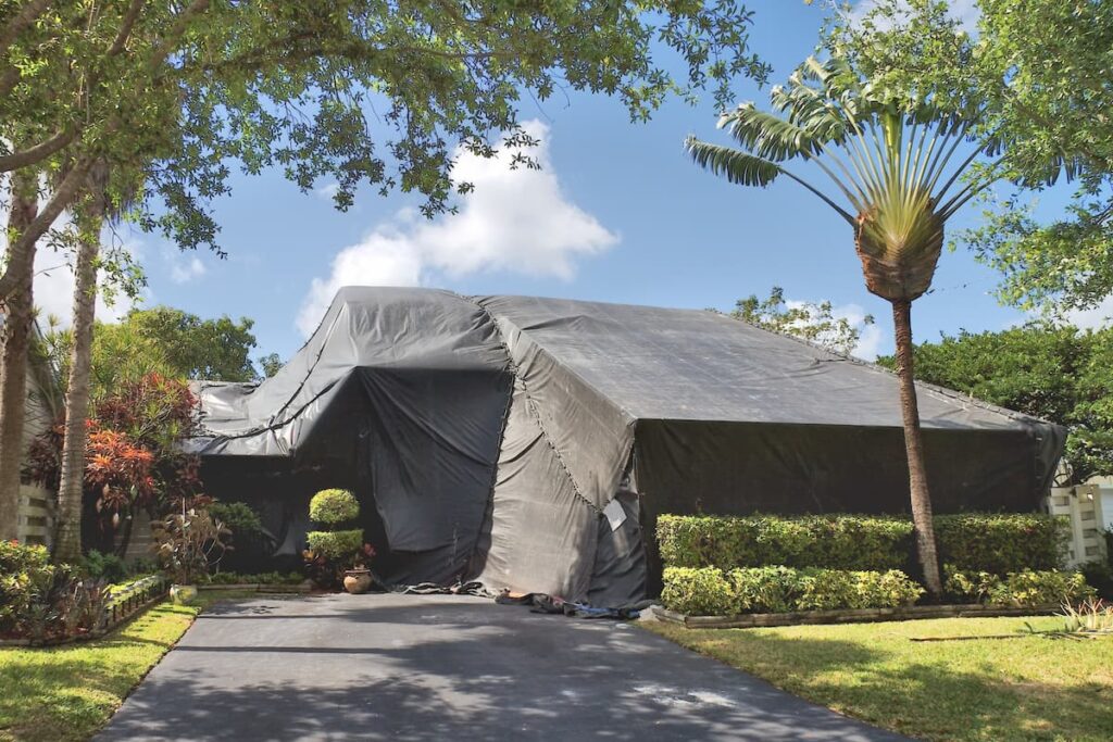 Costs and Budgeting for termite tenting in California